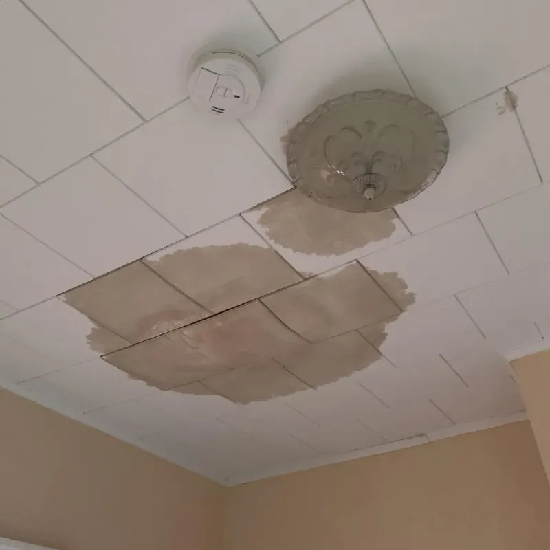 Ceiling Water Damage Repair in Bayview, CA