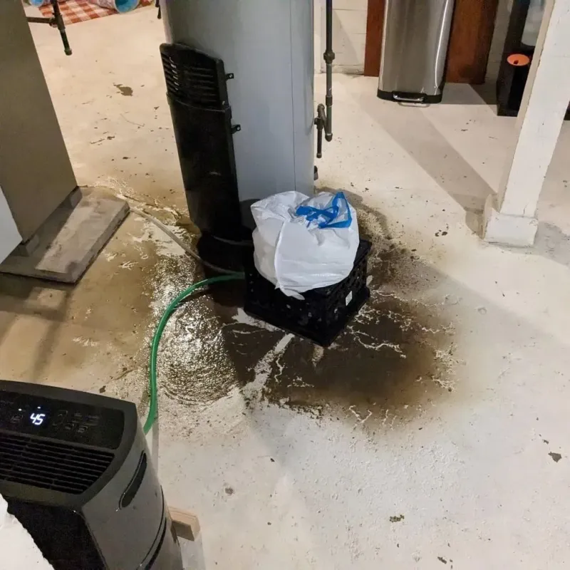 Sewage Backup Cleanup Service in Bayview, CA